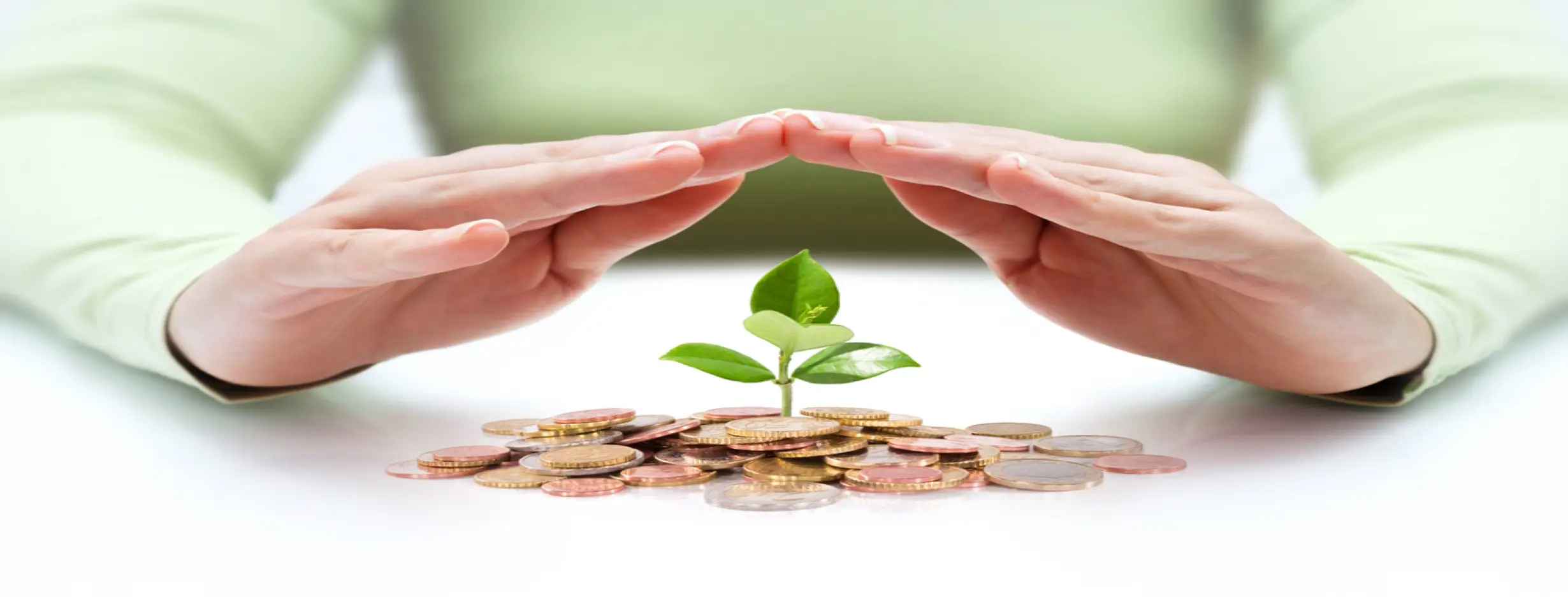 Image for Investment Haven